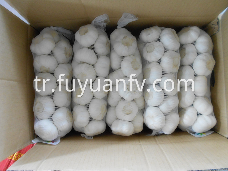 1kg 10bags white garlic